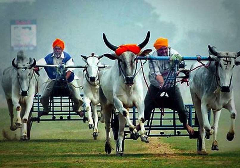 kila raipur