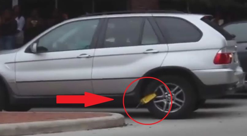 bmw lisica