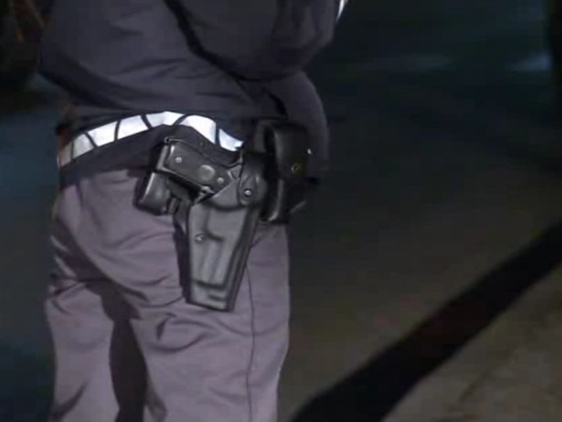 jamnik policija orožje