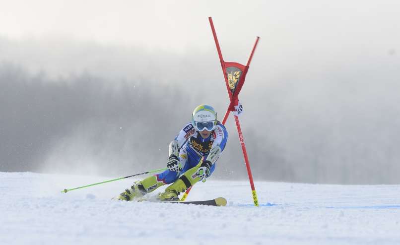 tina robnik gw