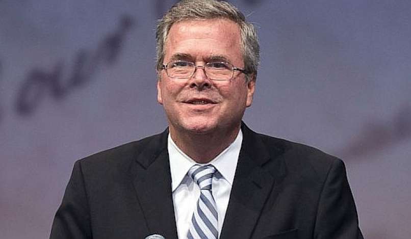 jeb bush
