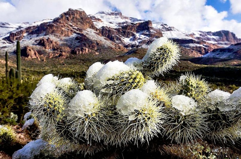 sneg, arizona