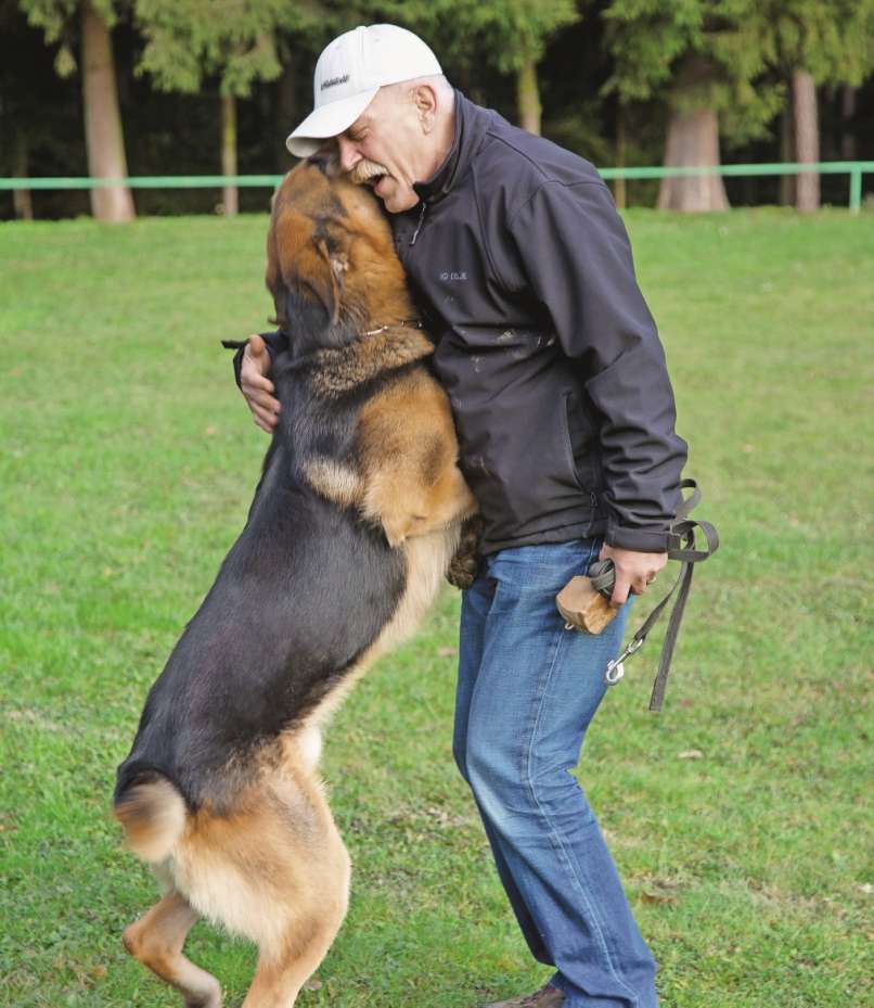 janko šopar, pes
