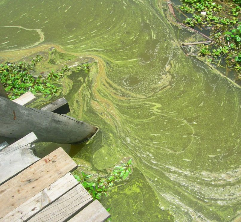 Jezero Karačaj 1