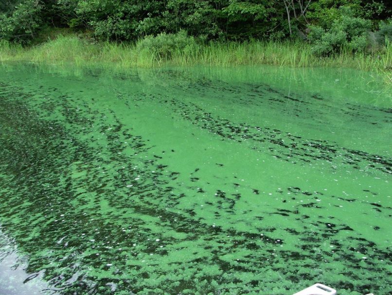 Jezero Karačaj 2