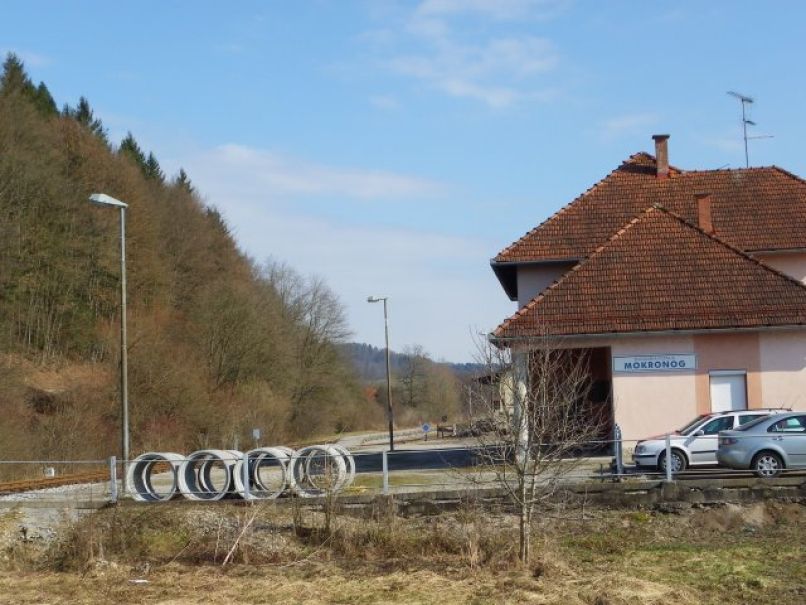 mokronog
