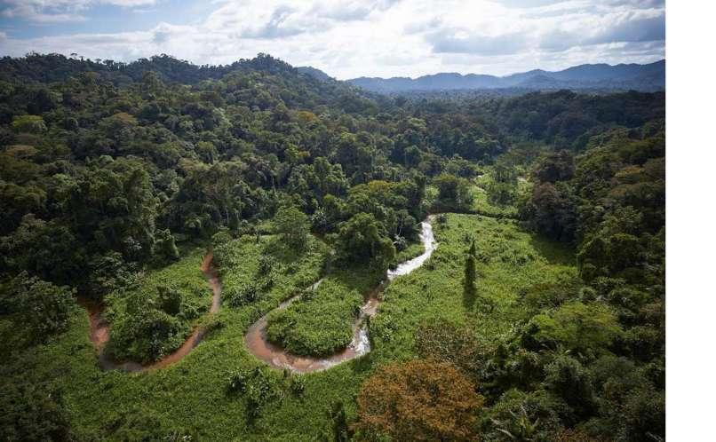 Honduras, deževni gozd, belo mesto