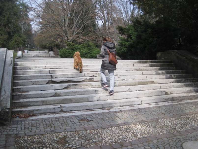 Mariborski mestni park
