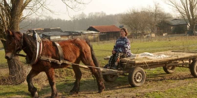 Voz, konj, Romi