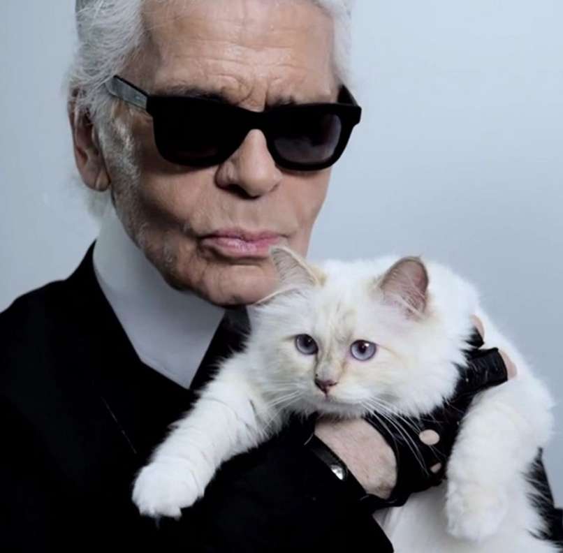 Lagerfeld, Choupette