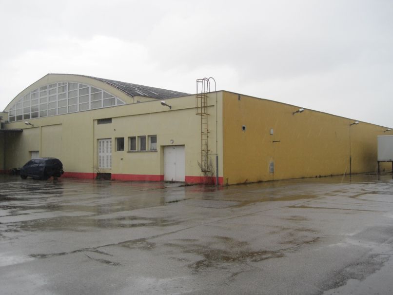 Maxina