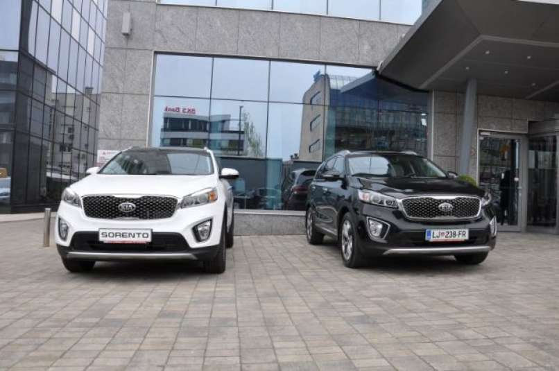 sorento