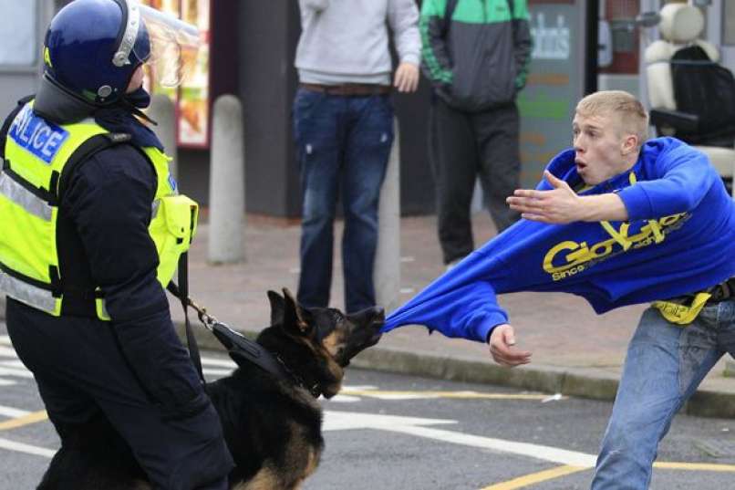 policija pes demonstrant