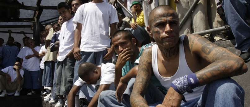 MS-13