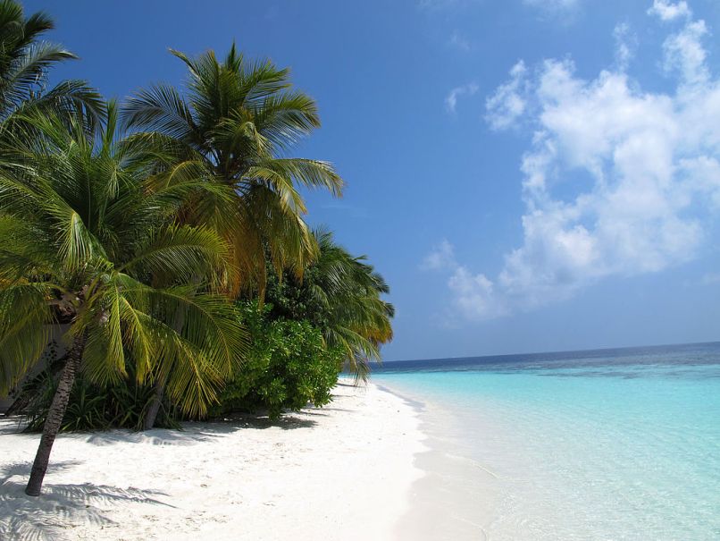 maldivi