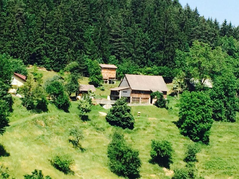 Umor in samomor v Šentjanžu nad Dravogradom