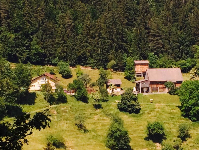 Umor in samomor v Šentjanžu nad Dravogradom