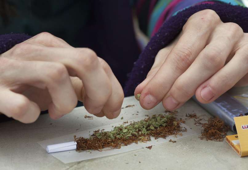 kanabis konoplja marihuana joint zvijanje