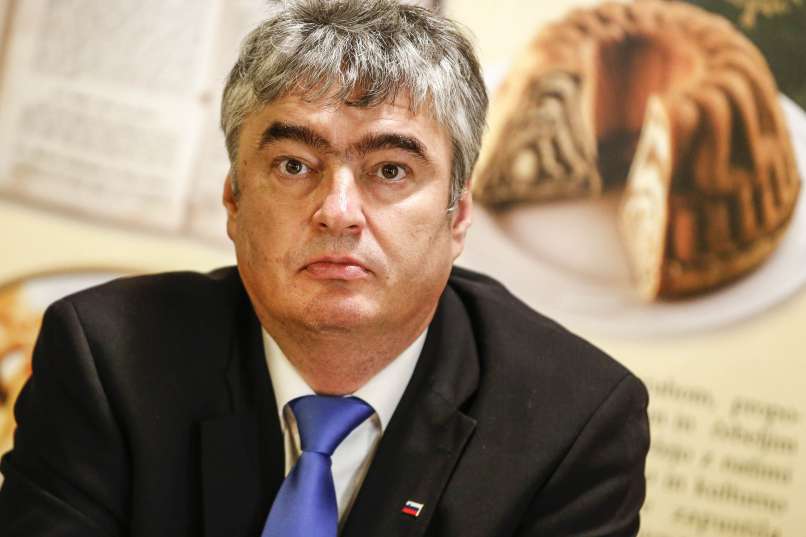 milan zver