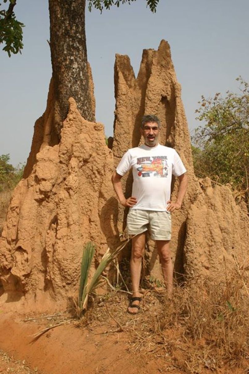 Albert Podell