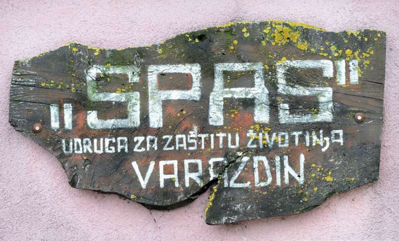 S kladivom nad psa Melija-2