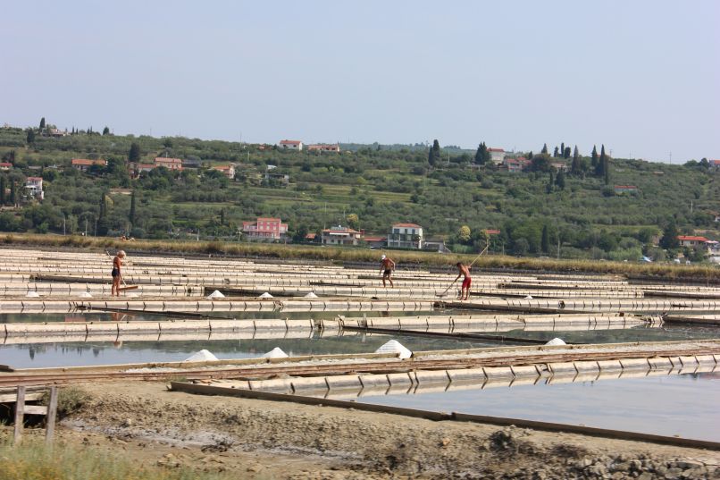 Sečoveljske soline