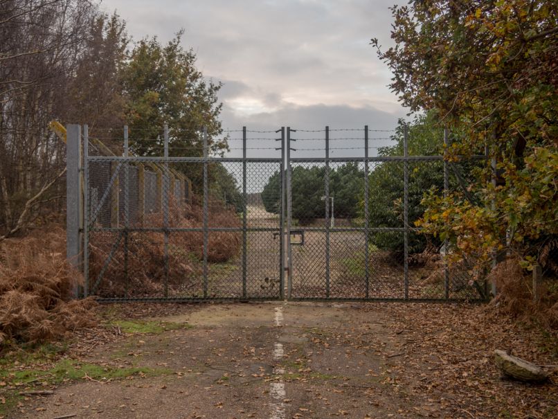 Woodbridge, gozd Rendlesham