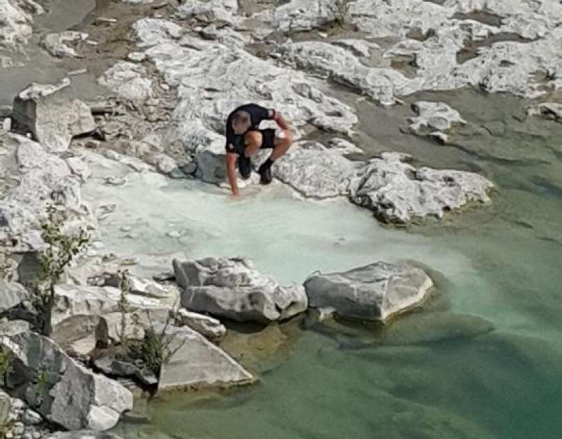 Turisti so opazili bel madež