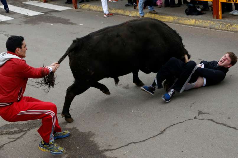 spain-bull-goring_stra-1