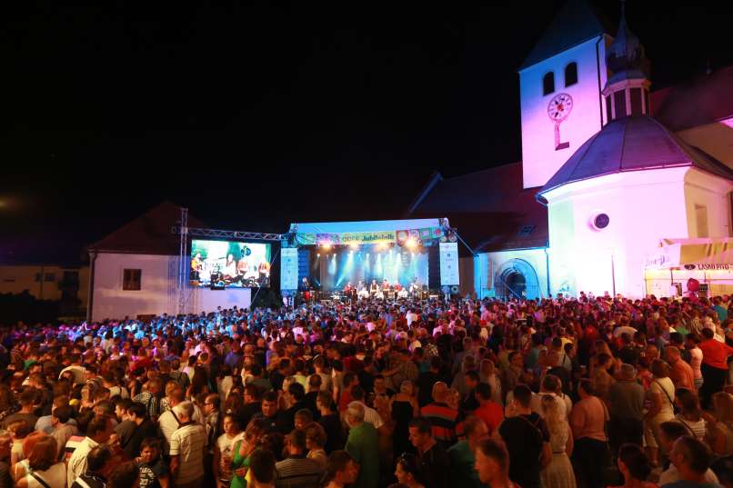 Pivo in cvetje 4