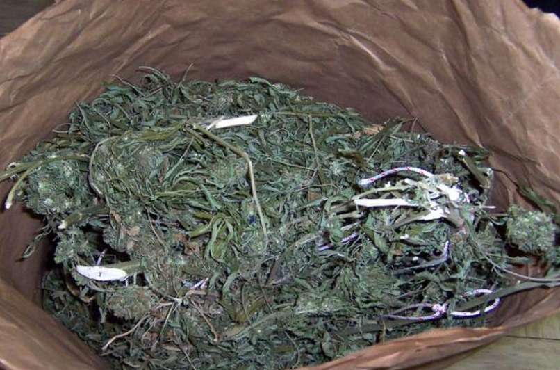 trava droga marihuana
