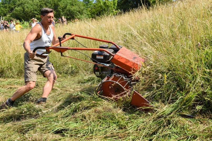 Pahor kosi
