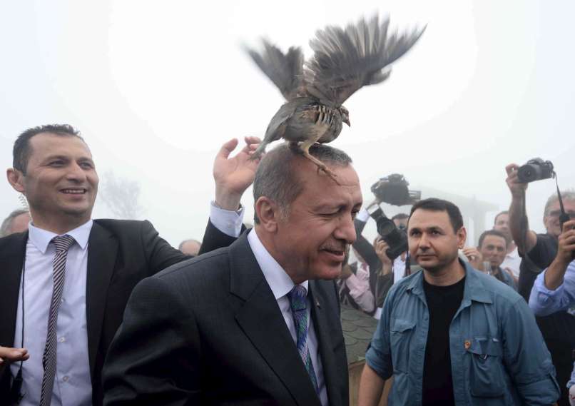 erdogan