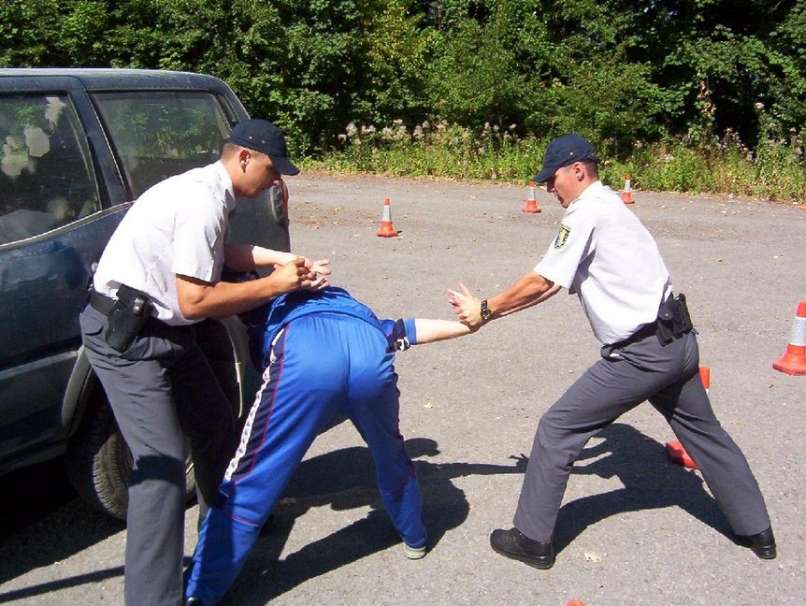 Bosanska policija