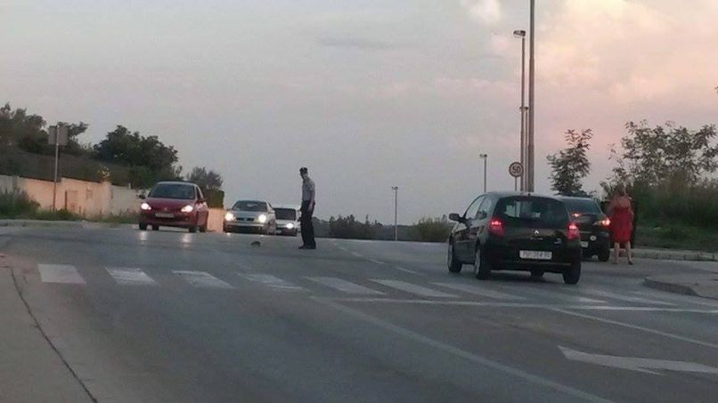 policist pula pulj