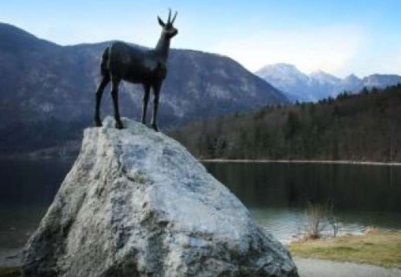 Bohinjci, pregnani iz raja