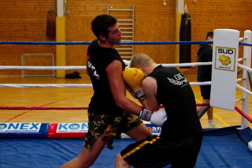 Gregor Gajić, Luka Mejač