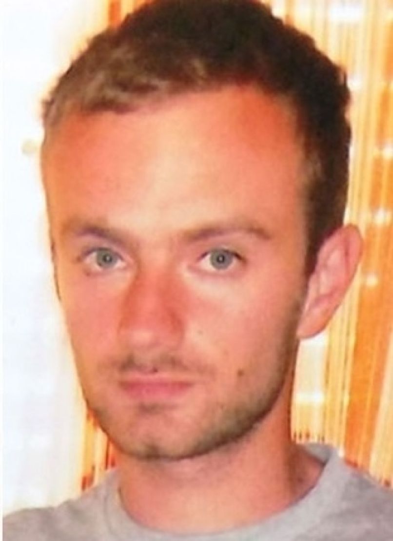 nemanja gavrić