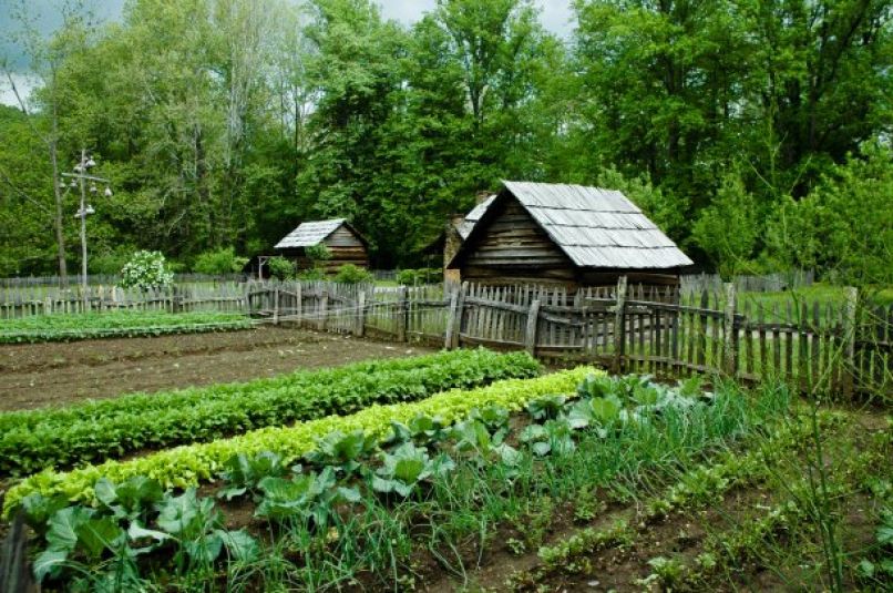 Kolobarjenje na zelenjavnem vrtu