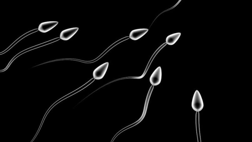 sperma