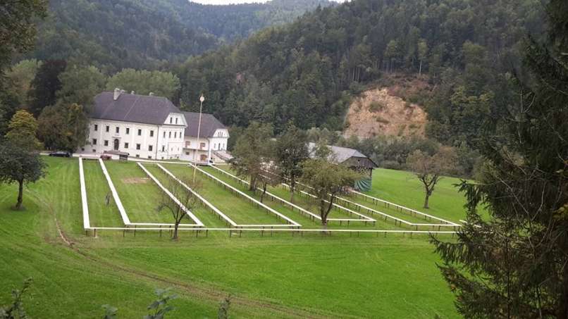 šank visoko