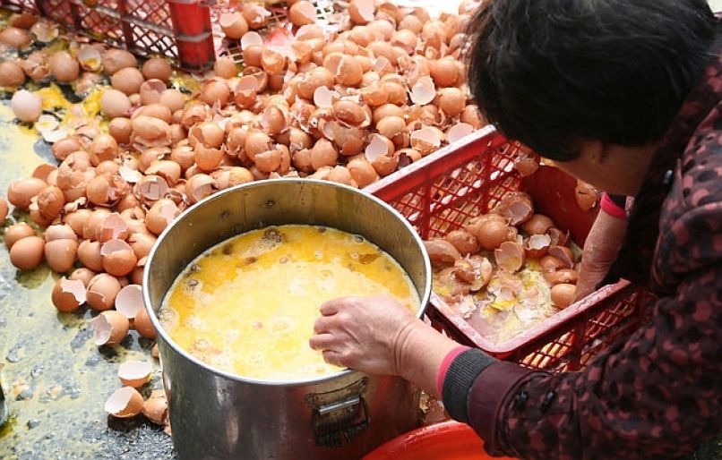 jajca, shandong1