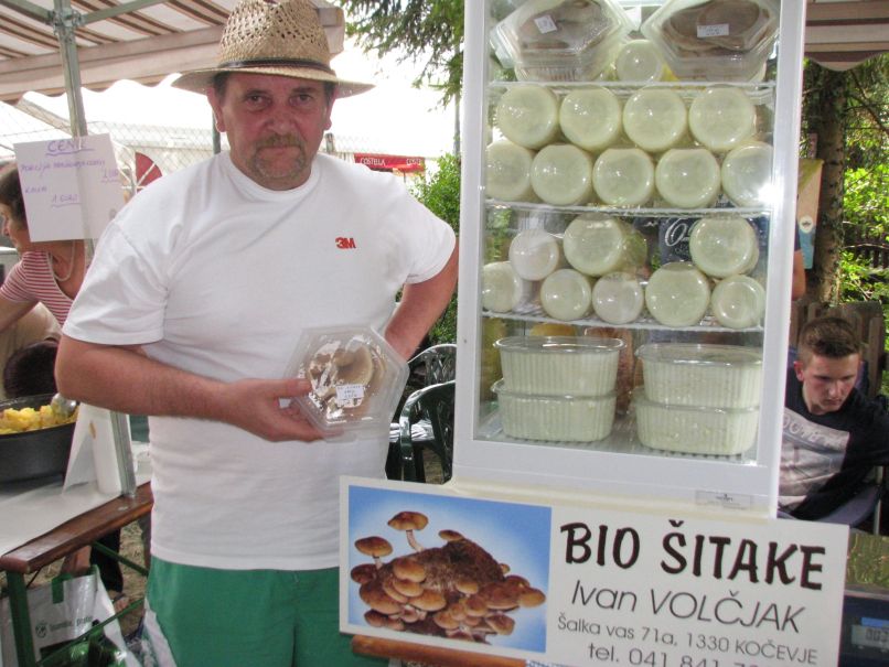 ivan volcjak