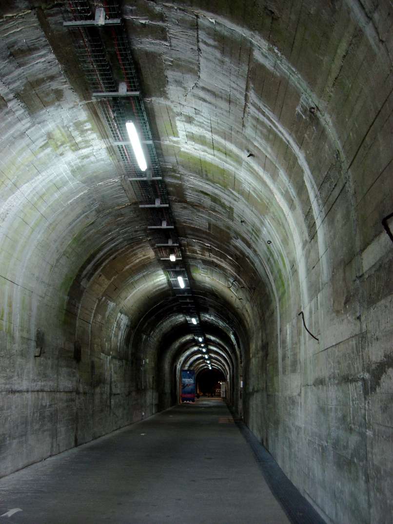 nacistični vlak
