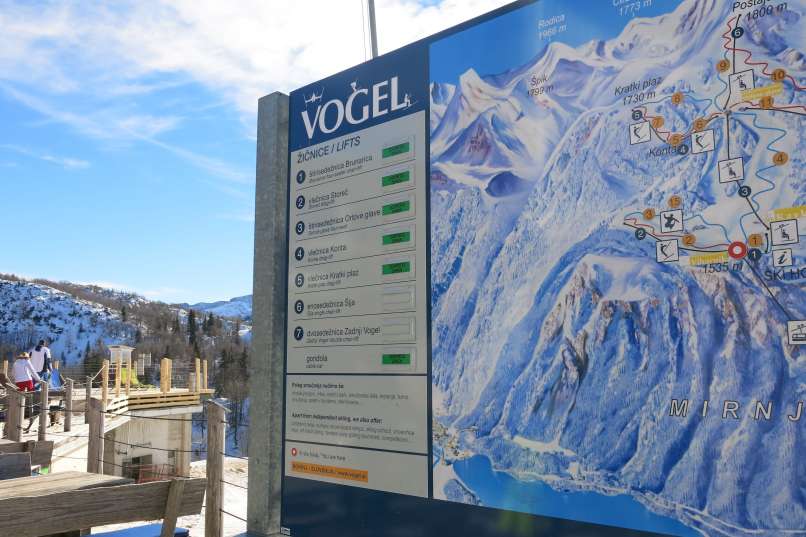 Vogel