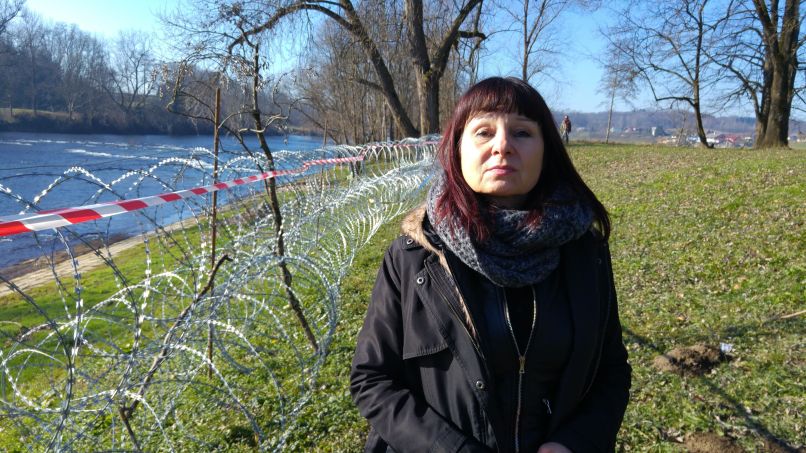 Violeta Tomič