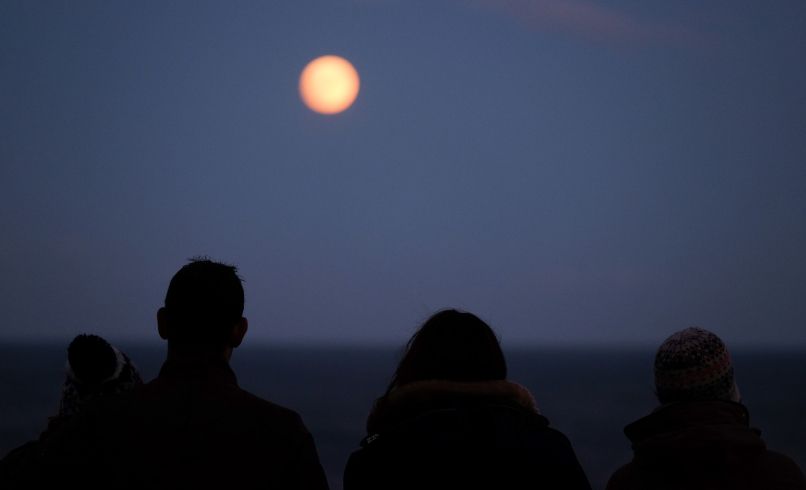 polna luna