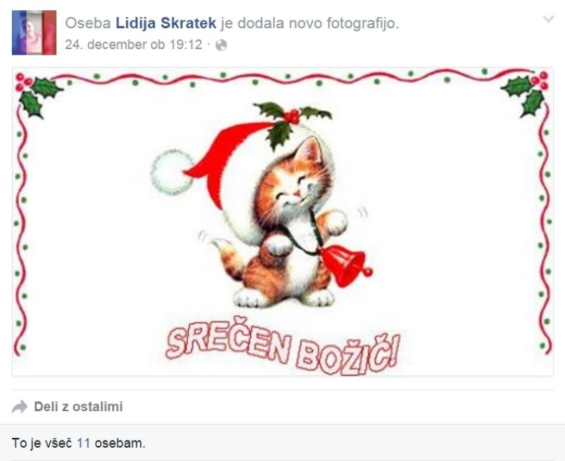 lidija škratek (2)