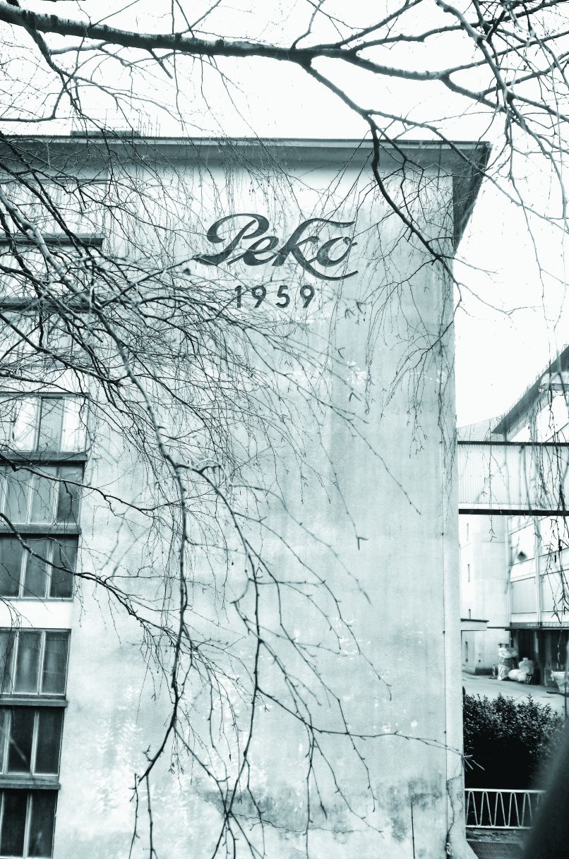 peko_DEJ_0526