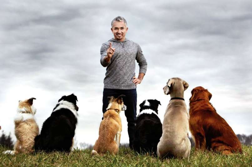 Cesar Milan